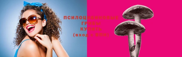 a pvp Володарск