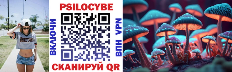 ссылка на мегу маркетплейс Ковылкино Галлюциногенные грибы Cubensis